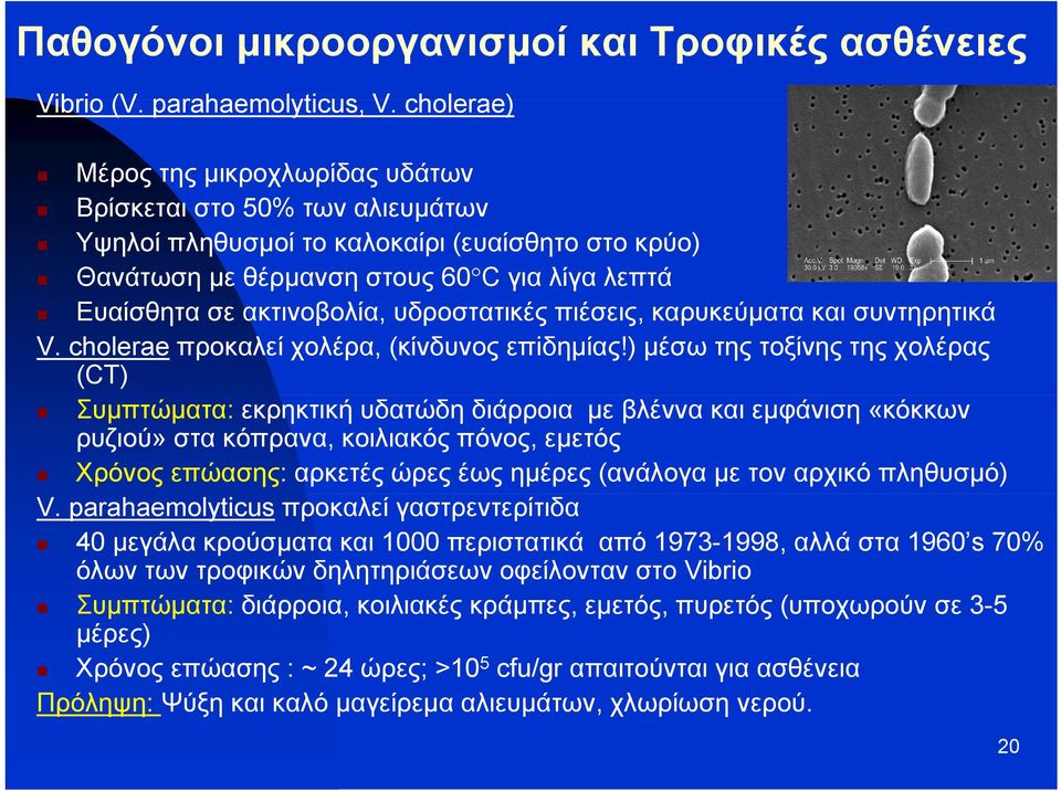 υδροστατικές πιέσεις, καρυκεύματα και συντηρητικά V. cholerae προκαλεί χολέρα, (κίνδυνος επiδημίας!