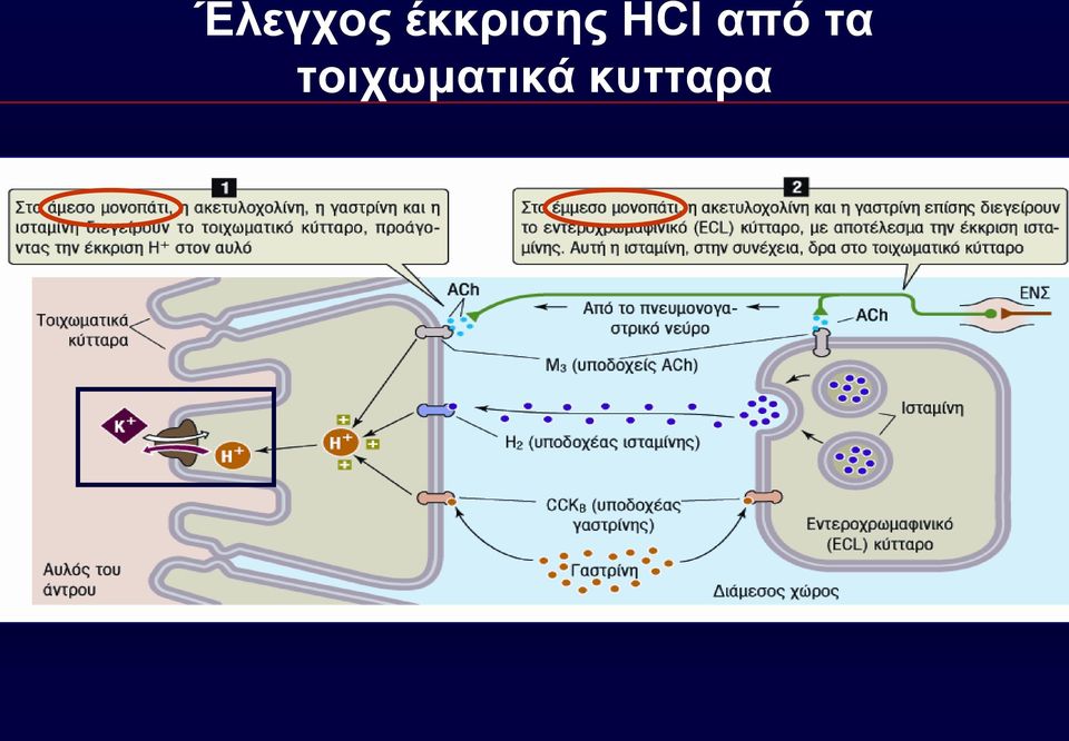 HCl από τα