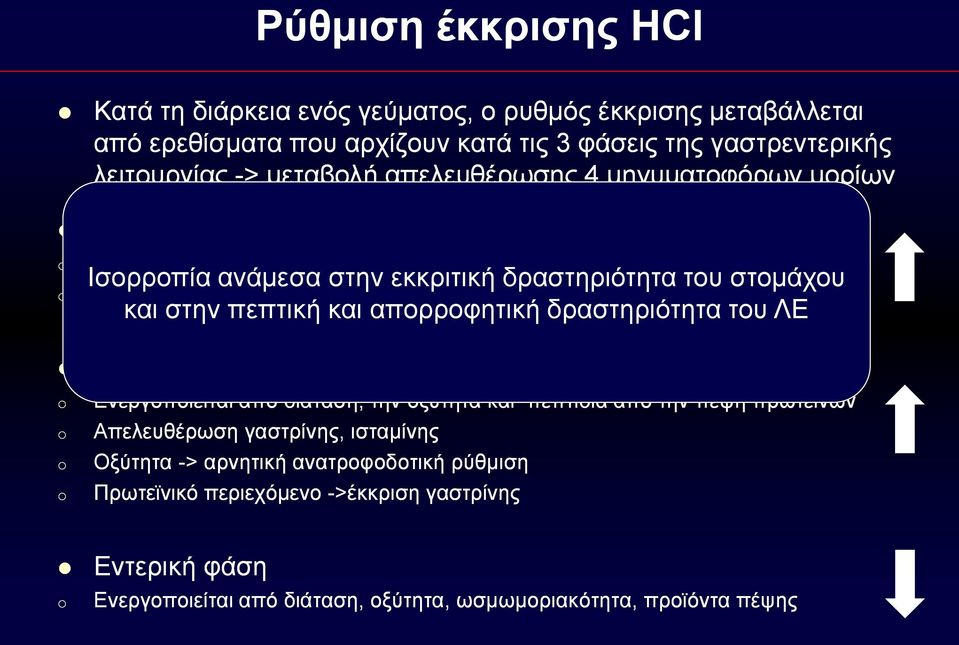 Απελευθέρωση ακετυλοχολίνης, γαστρίνης, ισταμίνης και στην πεπτική και απορροφητική δραστηριότητα του ΛΕ Ενεργοποιείται από διάταση, την οξύτητα και πεπτίδια από την πέψη πρωτεϊνών