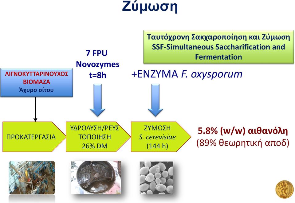 and Fermentation +ENZYMA F.