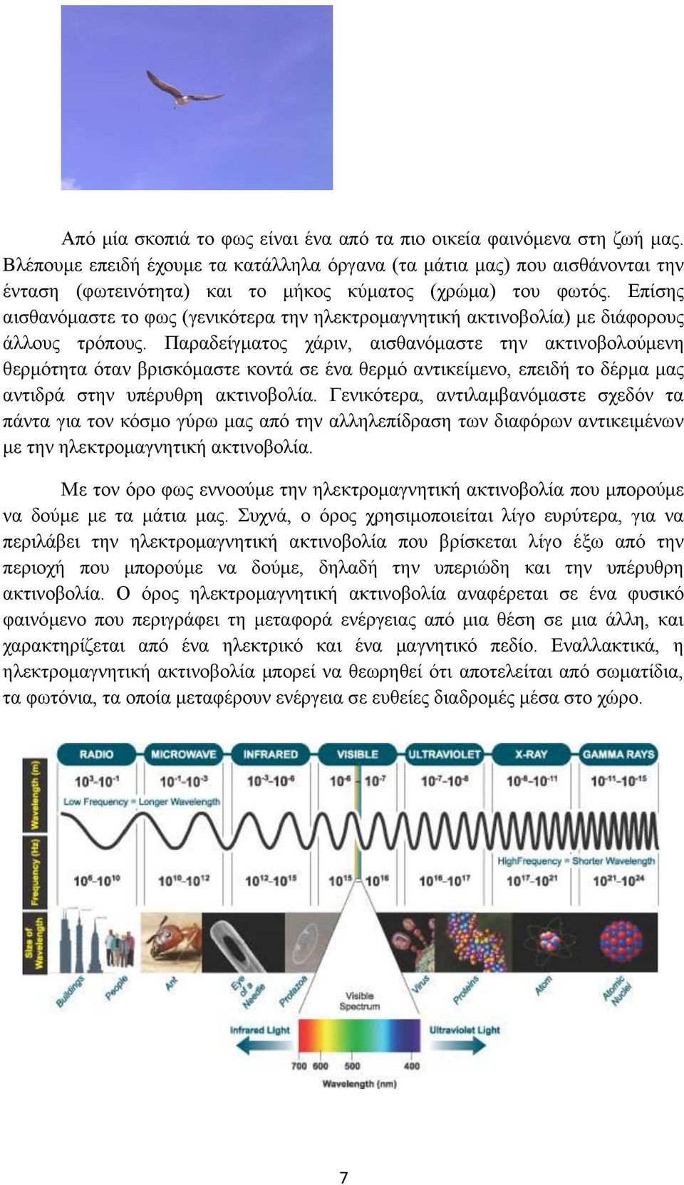 Επίσης αισθανόμαστε το φως (γενικότερα την ηλεκτρομαγνητική ακτινοβολία) με διάφορους άλλους τρόπους.