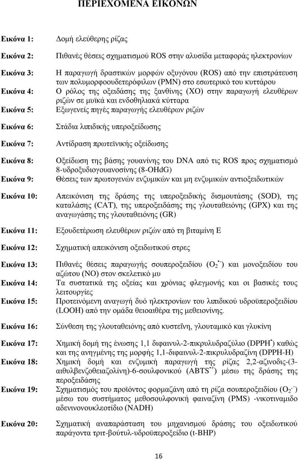 κυττάρου Ο ρόλος της οξειδάσης της ξανθίνης (XO) στην παραγωγή ελευθέρων ριζών σε μυϊκά και ενδοθηλιακά κύτταρα Εξωγενείς πηγές παραγωγής ελευθέρων ριζών Στάδια λιπιδικής υπεροξείδωσης Αντίδραση