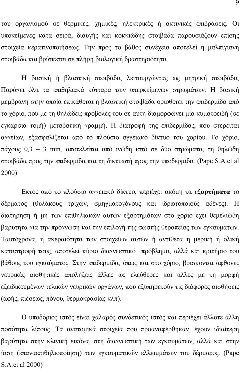 Η βασική ή βλαστική στοιβάδα, λειτουργώντας ως μητρική στοιβάδα, Παράγει όλα τα επιθηλιακά κύτταρα των υπερκείμενων στρωμάτων.