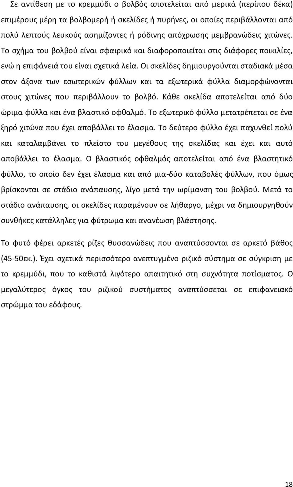 Οι σκελίδες δημιουργούνται σταδιακά μέσα στον άξονα των εσωτερικών φύλλων και τα εξωτερικά φύλλα διαμορφώνονται στους χιτώνες που περιβάλλουν το βολβό.