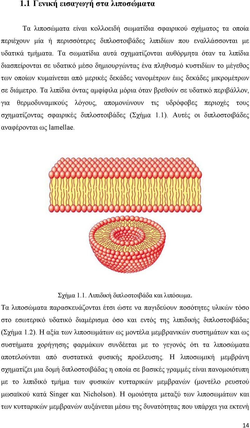 δεκάδες μικρομέτρων σε διάμετρο.