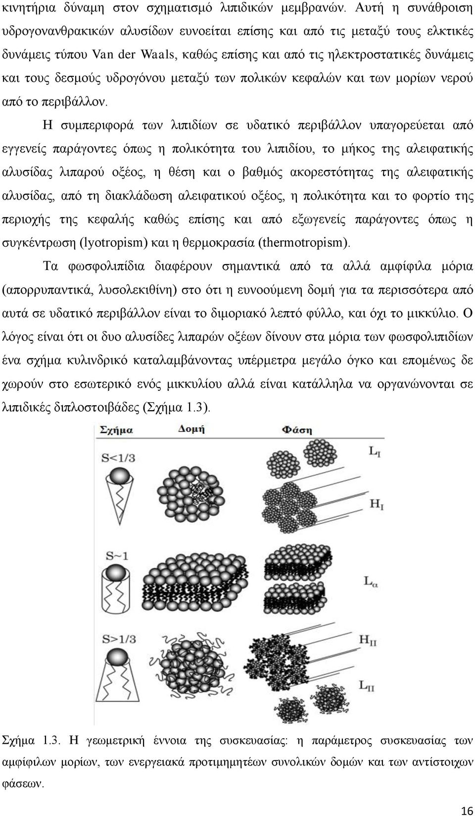 υδρογόνου μεταξύ των πολικών κεφαλών και των μορίων νερού από το περιβάλλον.