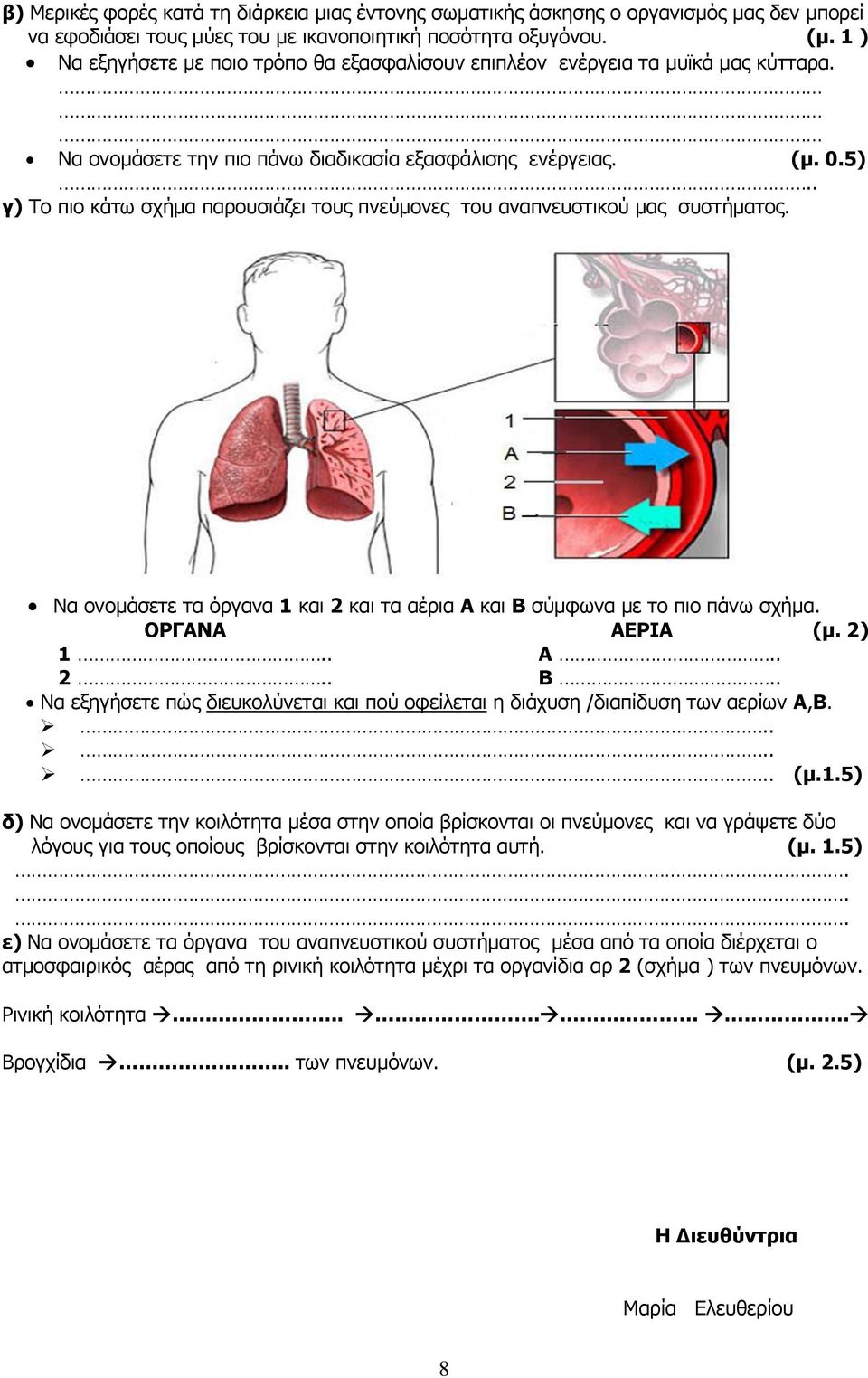 . γ) Το πιο κάτω σχήμα παρουσιάζει τους πνεύμονες του αναπνευστικού μας συστήματος. Να ονομάσετε τα όργανα 1 και 2 και τα αέρια Α και Β 