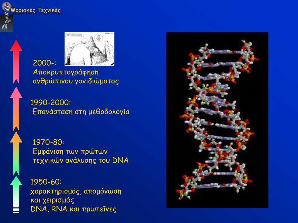 1970-80: Εμφάνιση των πρώτων τεχνικών ανάλυσης του DNA