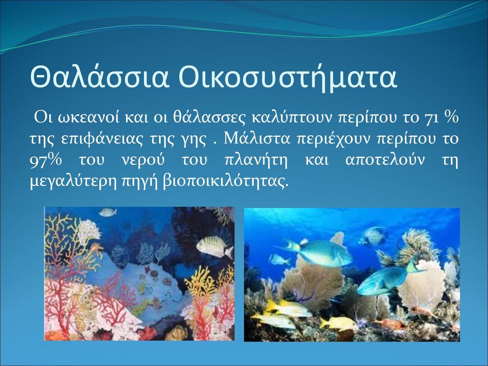 Μάλιστα περιέχουν περίπου το 97% του νερού του