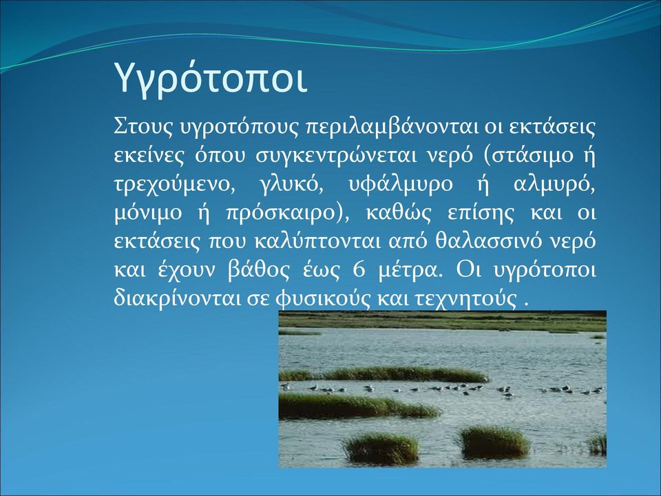 ή πρόσκαιρο), καθώς επίσης και οι εκτάσεις που καλύπτονται από θαλασσινό