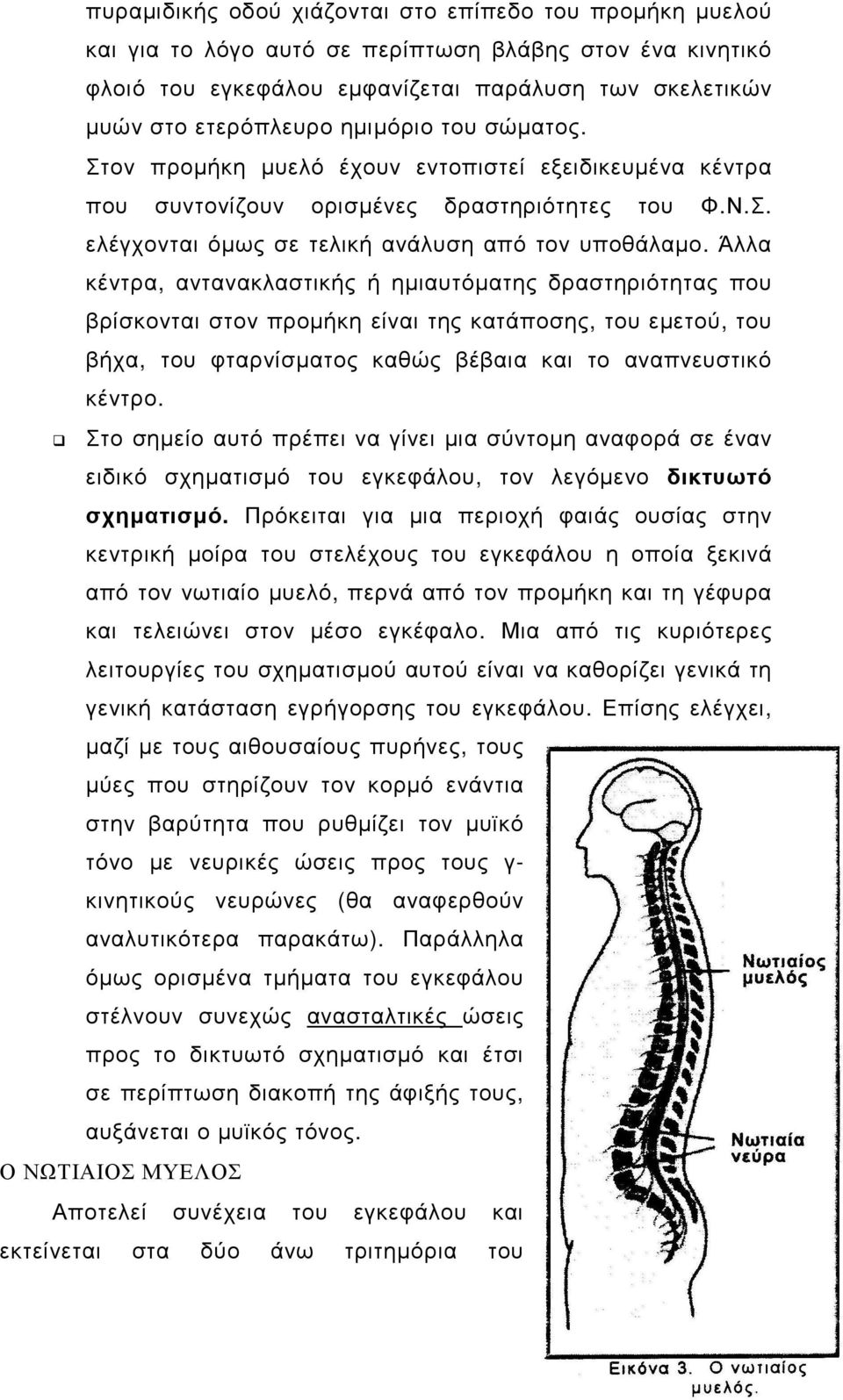 Άλλα κέντρα, αντανακλαστικής ή ηµιαυτόµατης δραστηριότητας που βρίσκονται στον προµήκη είναι της κατάποσης, του εµετού, του βήχα, του φταρνίσµατος καθώς βέβαια και το αναπνευστικό κέντρο.