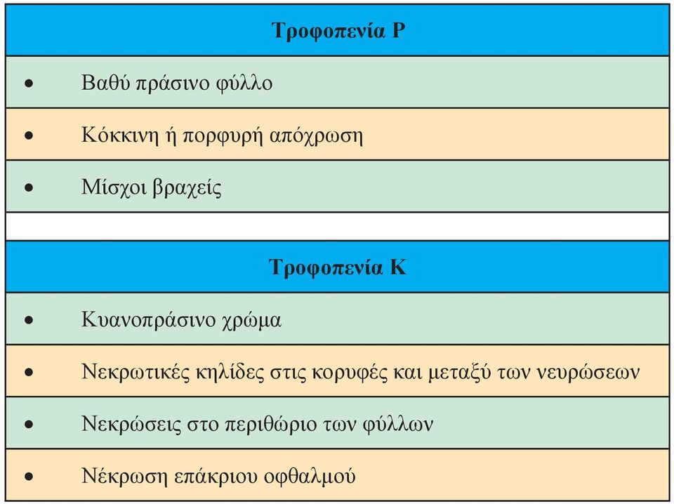 Νεκρωτικές κηλίδες στις κορυφές και μεταξύ των