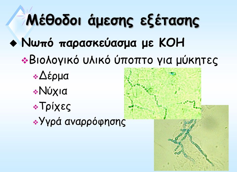 υλικό ύποπτο για μύκητες