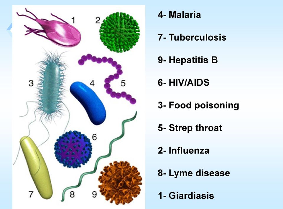 poisoning 5- Strep throat 2-