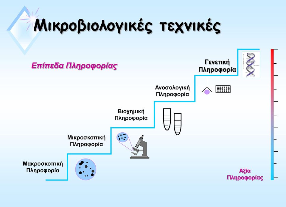 Πληροφορία Βιοχημική Πληροφορία