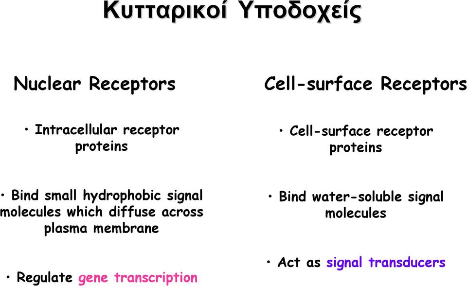 small hydrophobic signal molecules which diffuse across plasma membrane