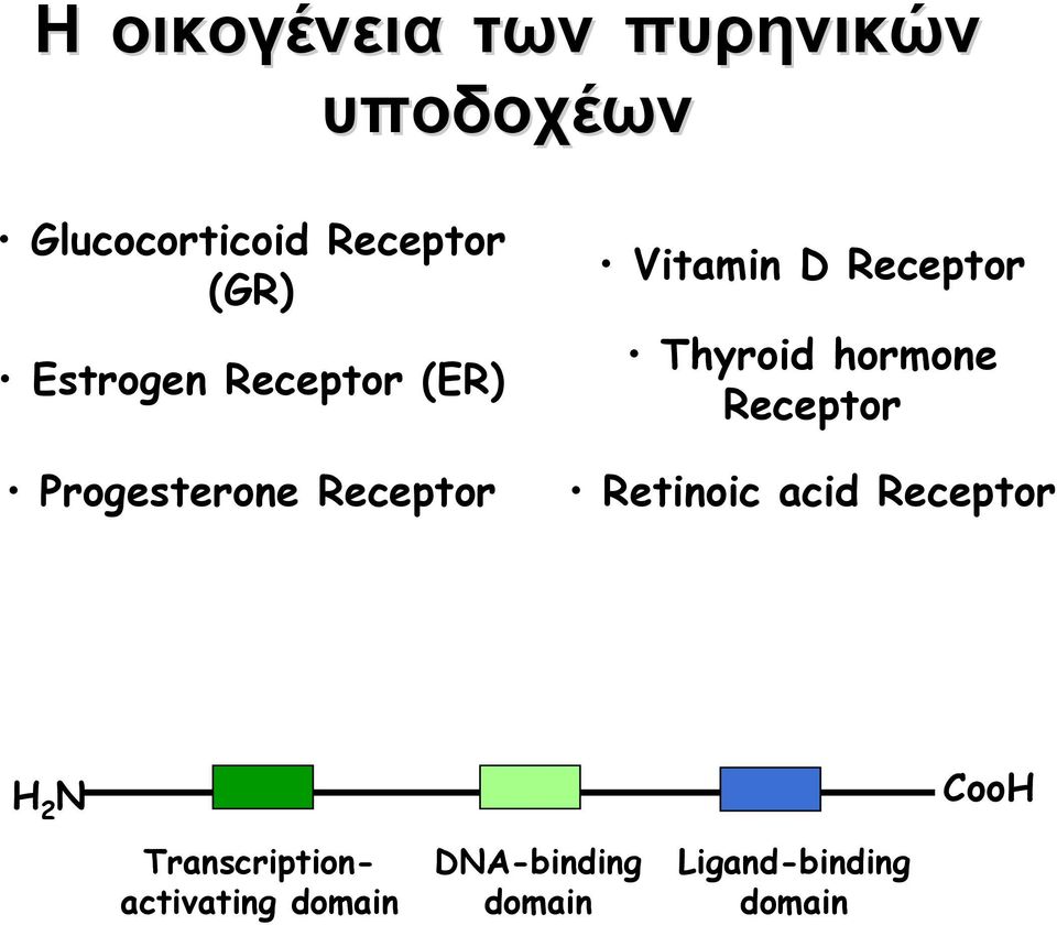 Receptor Thyroid hormone Receptor Retinoic acid Receptor H 2 N