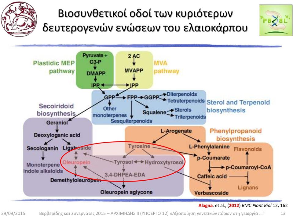 , (2012) BMC Plant Biol 12, 162 29/09/2015 Βερβερίδης και