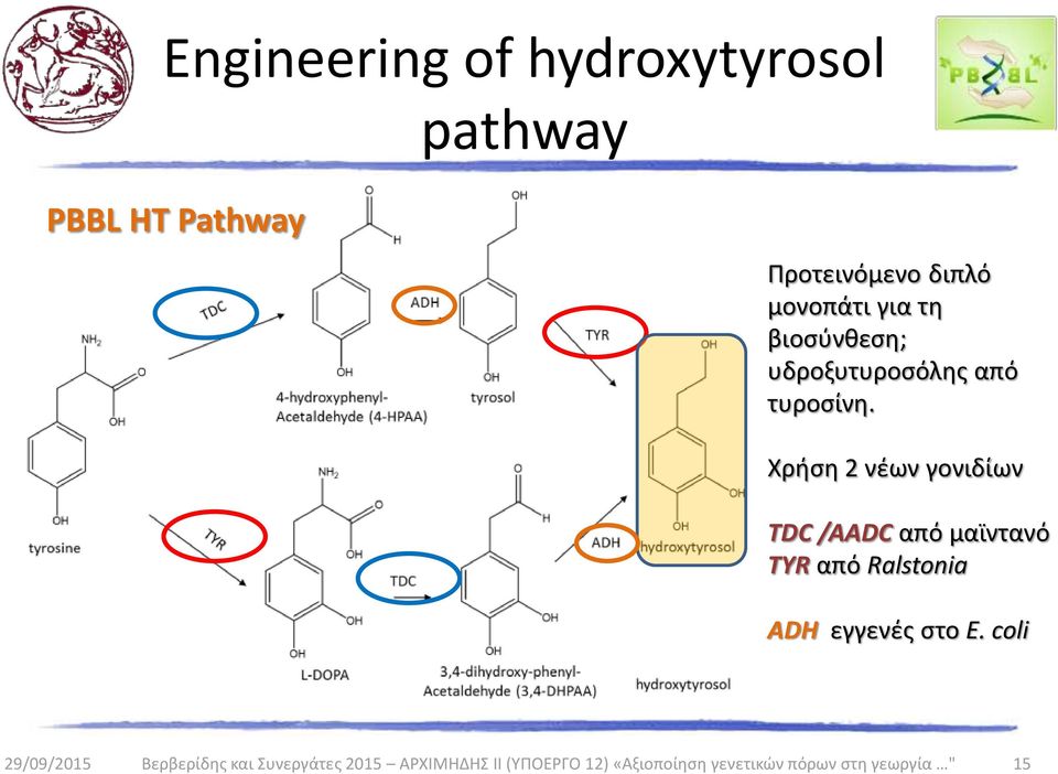 Χρήση 2 νέων γονιδίων TDC /AADC από μαϊντανό TYR από Ralstonia ADH εγγενές στο E.