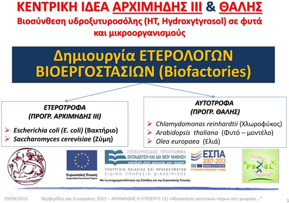 coli) (Βακτήριο) Saccharomyces cerevisiae (Ζύμη) AYTOTΡΟΦΑ (ΠΡΟΓΡ.