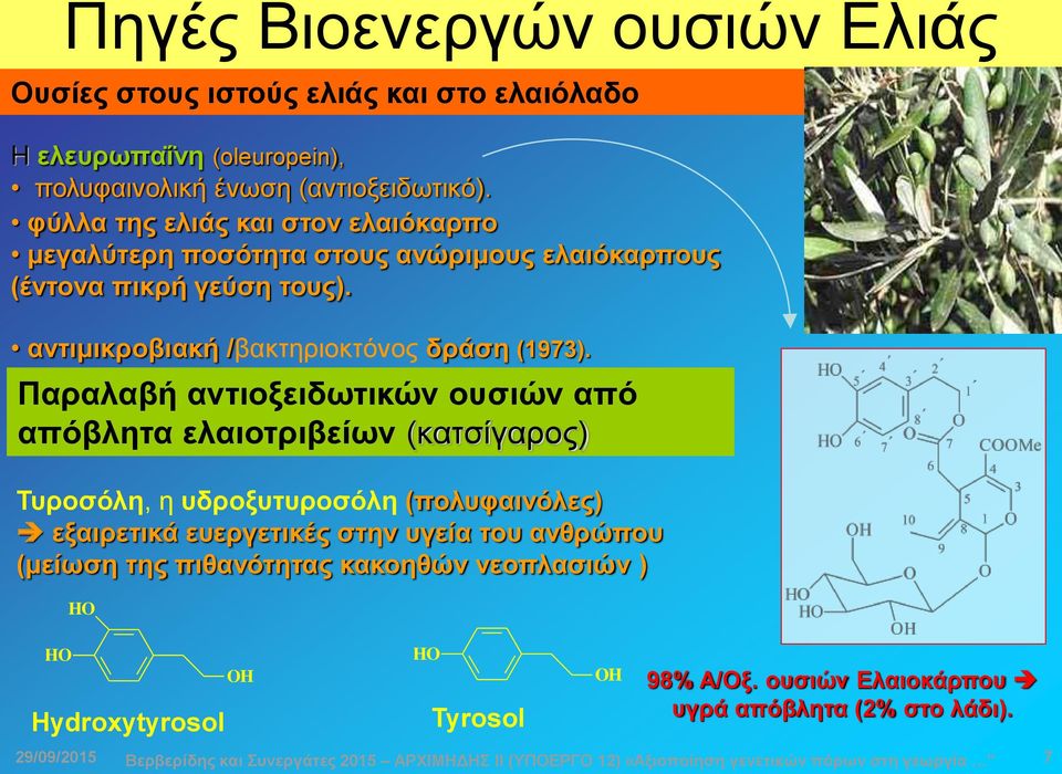 Παραλαβή αντιοξειδωτικών ουσιών από απόβλητα ελαιοτριβείων (κατσίγαρος) Τυροσόλη, η υδροξυτυροσόλη (πολυφαινόλες) εξαιρετικά ευεργετικές στην υγεία του ανθρώπου (μείωση της