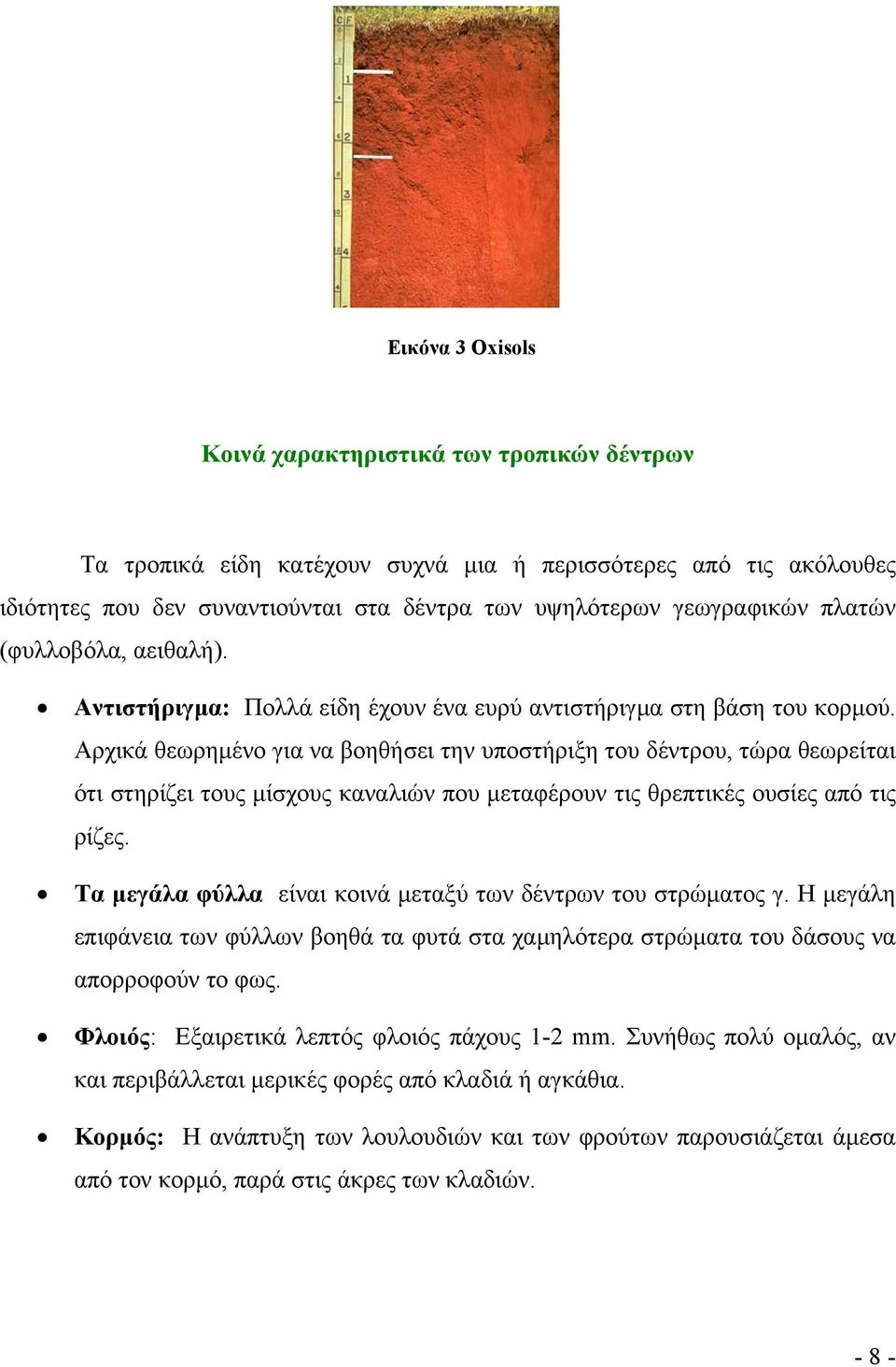 Αρχικά θεωρηµένο για να βοηθήσει την υποστήριξη του δέντρου, τώρα θεωρείται ότι στηρίζει τους µίσχους καναλιών που µεταφέρουν τις θρεπτικές ουσίες από τις ρίζες.