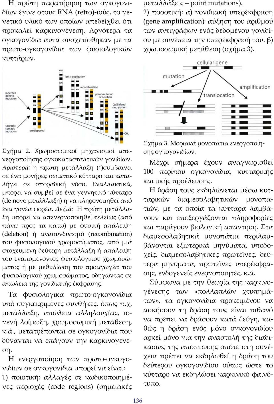 2) ποσοτική: α) γονιδιακή υπερέκφραση (gene amplification) αύξηση του αριθμού των αντιγράφων ενός δεδομένου γονιδίου με συνέπεια την υπερέκφρασή του. β) χρωμοσωμική μετάθεση (σχήμα 3). Σχήμα 2.