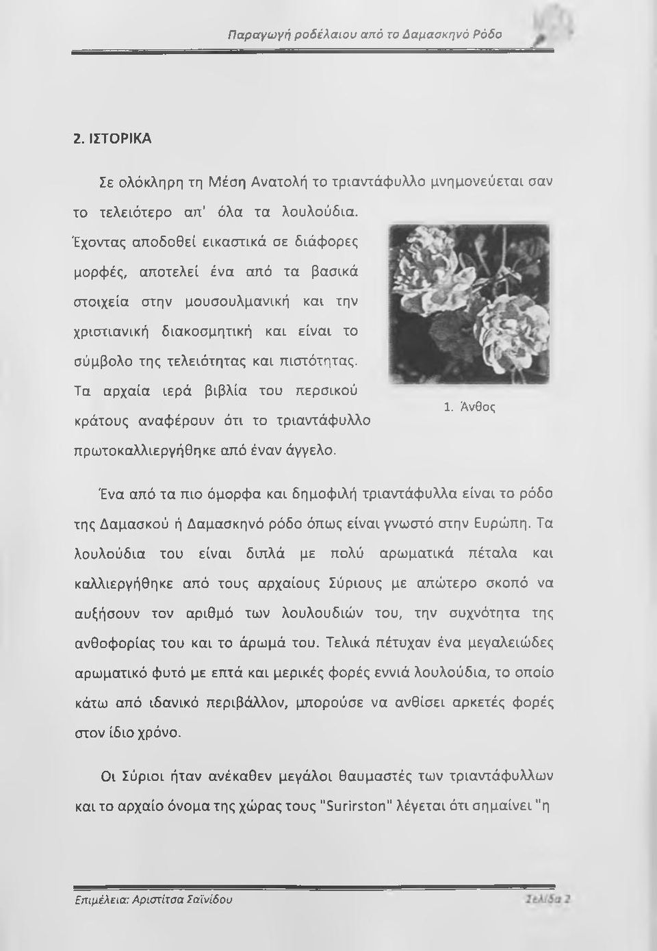Τα αρχαία ιερά βιβλία του περσικού κράτους αναφέρουν ότι το τριαντάφυλλο πρωτοκαλλιεργήθηκε από έναν άγγελο. 1.