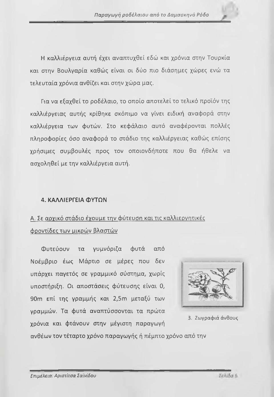 Στο κεφάλαιο αυτό αναφέρονται πολλές πληροφορίες όσο αναφορά το στάδιο της καλλιέργειας καθώς επίσης χρήσιμες συμβουλές προς τον οποιονδήποτε που θα ήθελε να ασχοληθεί με την καλλιέργεια αυτή. 4.