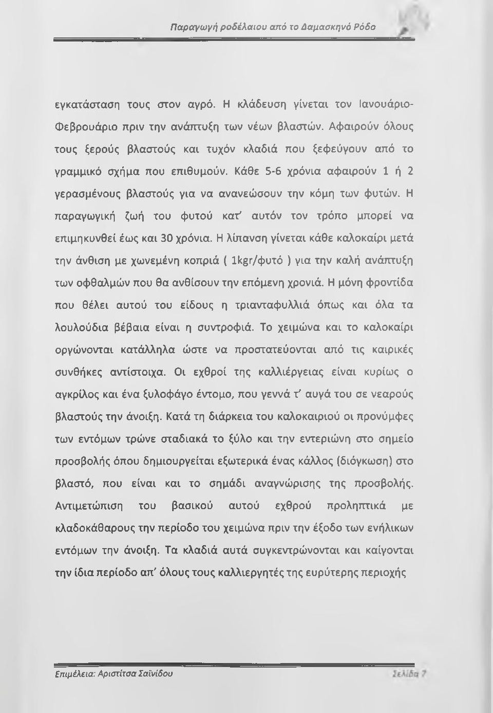 Η παραγωγική ζωή του φυτού κατ' αυτόν τον τρόπο μπορεί να επιμηκυνθεί έως και 30 χρόνια.