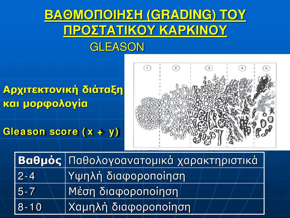 y) Βαθμός Παθολογοανατομικά χαρακτηριστικά 2-4 Υψηλή