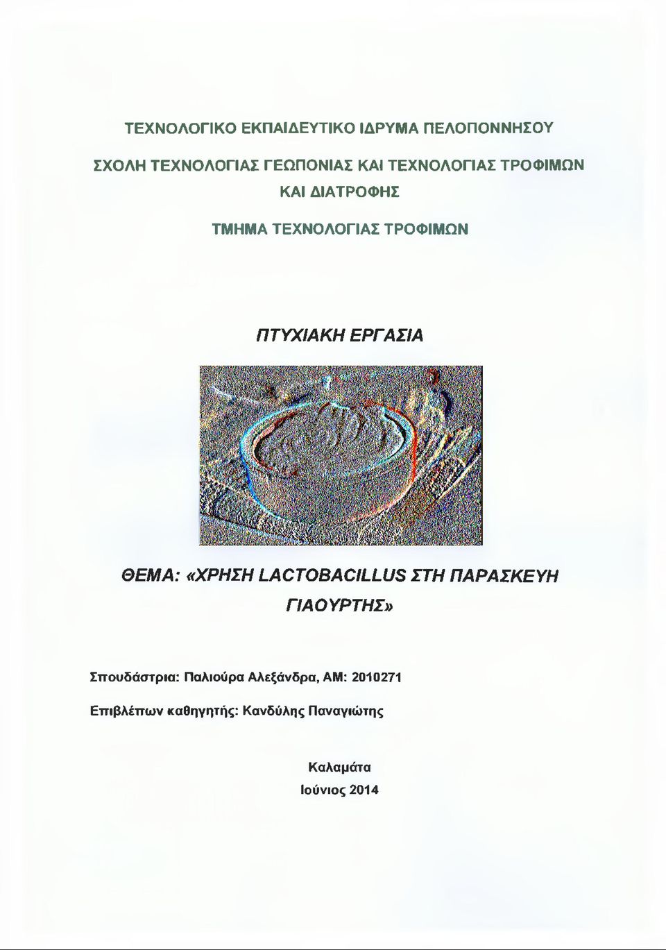 ΘΕΜΑ: «ΧΡΗΣΗ LACTOBACILLUS ΣΤΗ ΠΑΡΑΣΚΕΥΗ ΓΙΑΟΥΡΤΗΣ» Σπουδάστρια: Παλιούρα