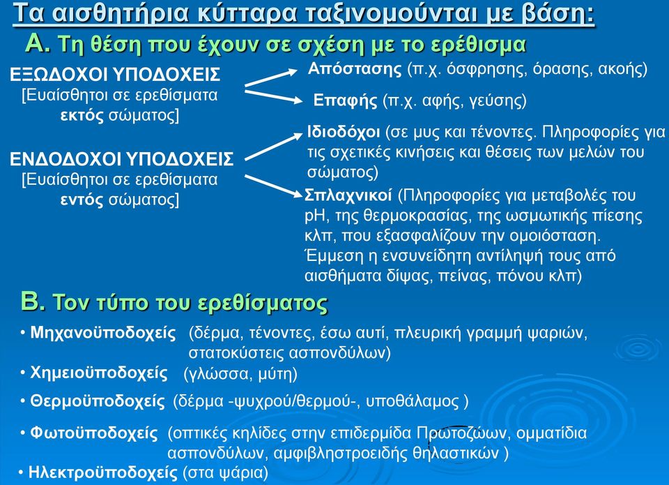 Τον τύπο του ερεθίσματος Μηχανοϋποδοχείς Χημειοϋποδοχείς Θερμοϋποδοχείς Απόστασης (π.χ. όσφρησης, όρασης, ακοής) Επαφής (π.χ. αφής, γεύσης) Ιδιοδόχοι (σε μυς και τένοντες.