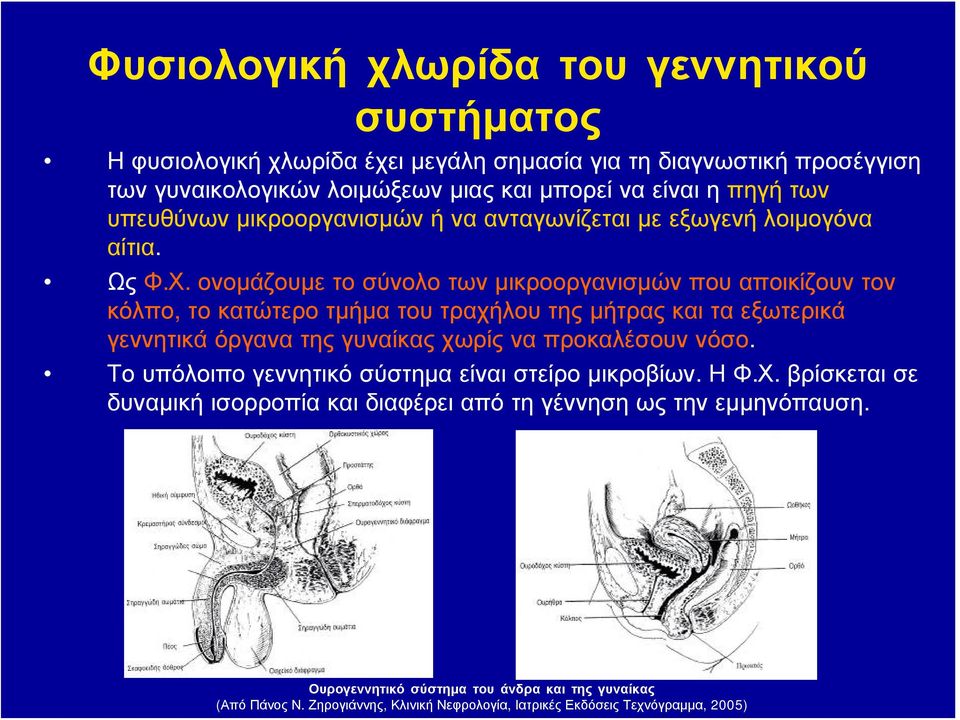 ονομάζουμε το σύνολο των μικροοργανισμών που αποικίζουν τον κόλπο, το κατώτερο τμήμα του τραχήλου της μήτρας και τα εξωτερικά γεννητικά όργανα της γυναίκας χωρίς να προκαλέσουν