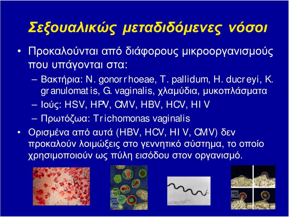 vaginalis, χλαμύδια, μυκοπλάσματα Ιούς: HSV, HPV, CMV, HBV, HCV, HIV Πρωτόζωα: Trichomonas vaginalis