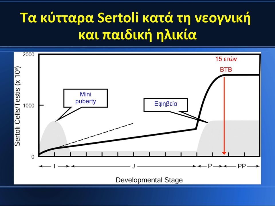 ΑΡΙΘΜΟΣ ΚΥΤΤΑΡΩΝ SERTOLI 15