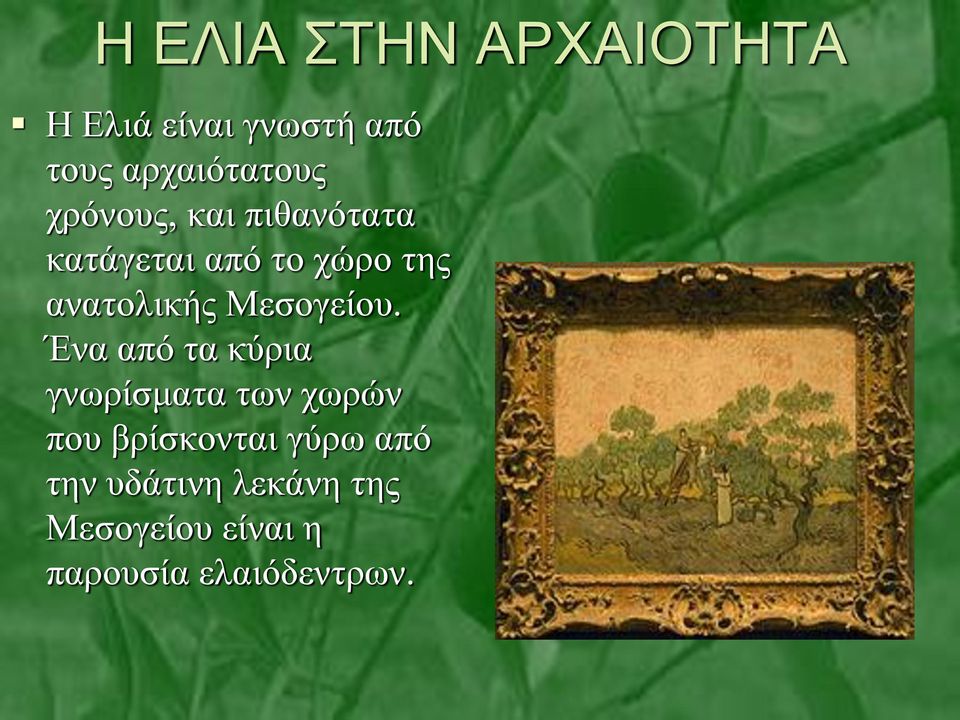 Μεσογείου.