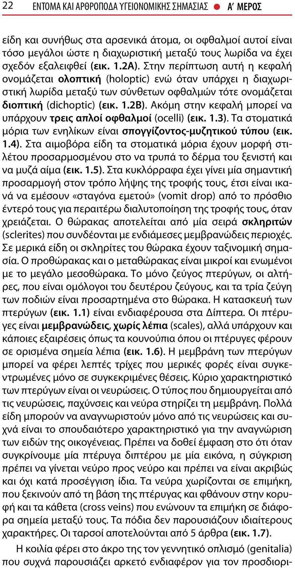 Ακόμη στην κεφαλή μπορεί να υπάρχουν τρεις απλοί οφθαλμοί (ocelli) (εικ. 1.3). Τα στοματικά μόρια των ενηλίκων είναι σπογγίζοντος-μυζητικού τύπου (εικ. 1.4).