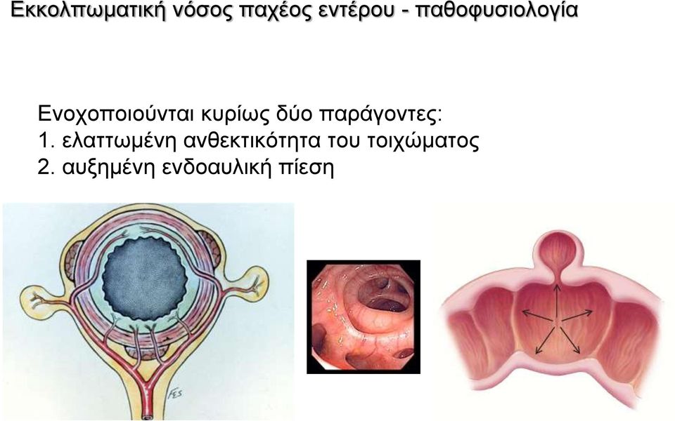 παράγοντες: 1.