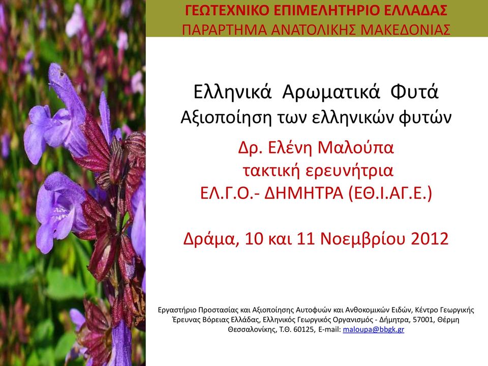 ένη Μαλούπα τακτική ερευνήτρια ΕΛ