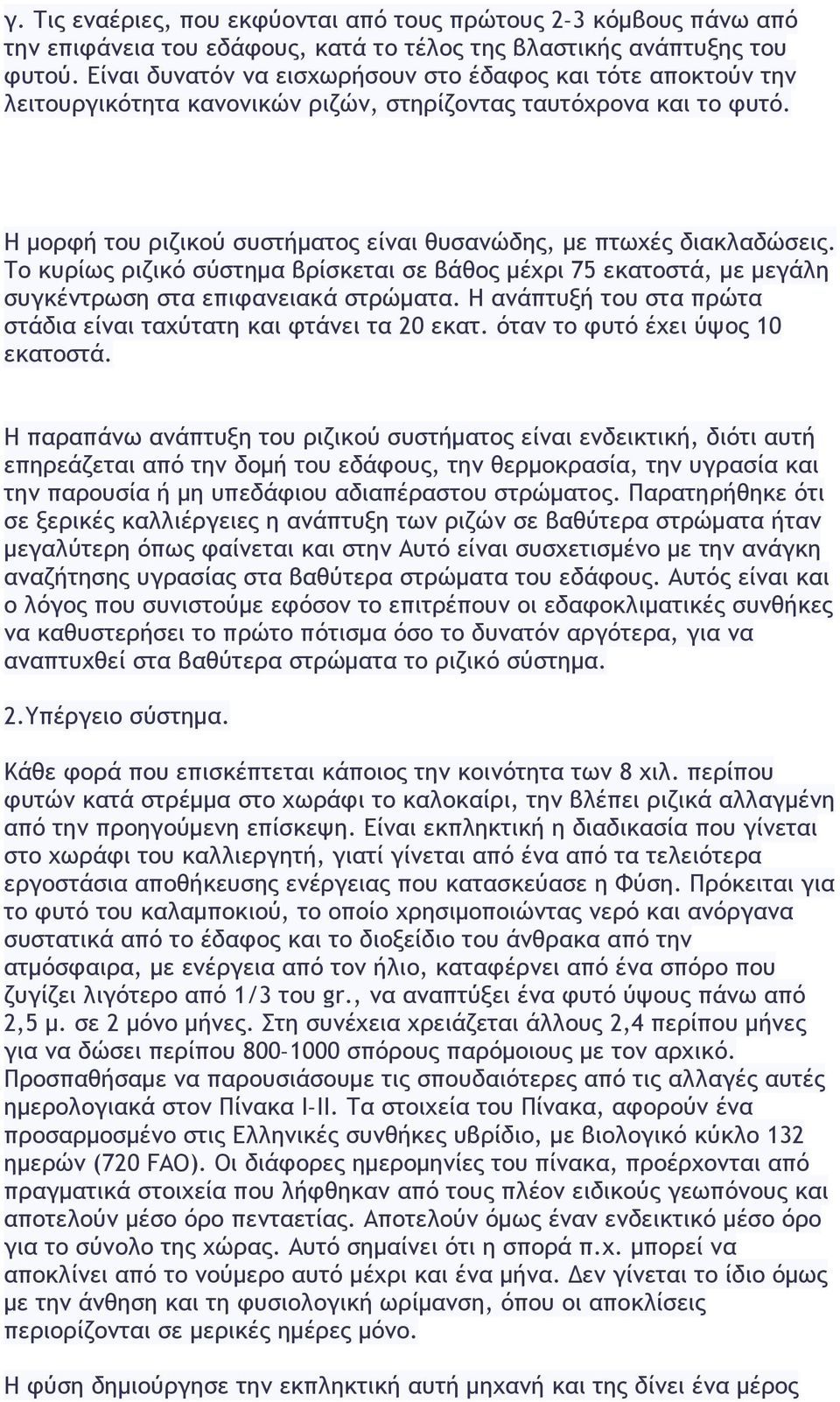 Η μορφή του ριζικού συστήματος είναι θυσανώδης, με πτωχές διακλαδώσεις. Το κυρίως ριζικό σύστημα βρίσκεται σε βάθος μέχρι 75 εκατοστά, με μεγάλη συγκέντρωση στα επιφανειακά στρώματα.