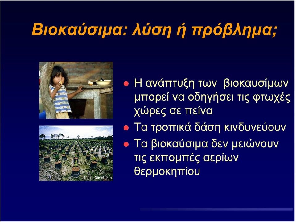 χώρες σε πείνα Τα τροπικά δάση κινδυνεύουν Τα