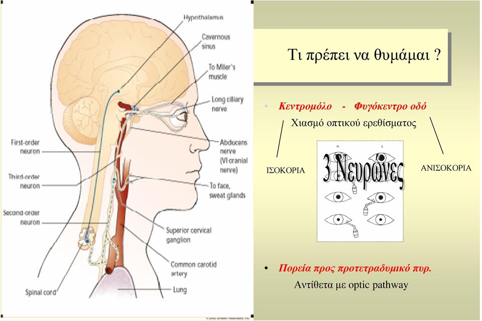 οπτικού ερεθίσµατος ΙΣΟΚΟΡΙΑ