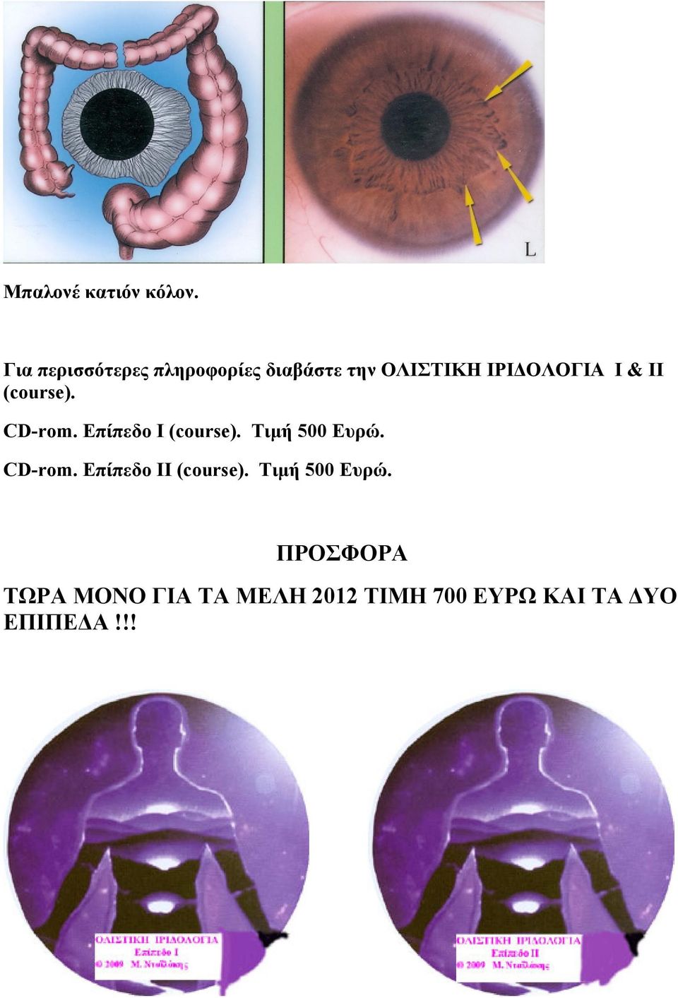 & ΙΙ (course). CD-rom. Επίπεδο Ι (course). Τιμή 500 Ευρώ. CD-rom. Επίπεδο ΙΙ (course).