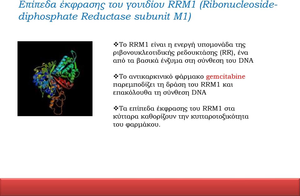 σύνθεση του DNA Το αντικαρκινικό φάρμακο gemcitabine παρεμποδίζει τη δράση του RRM1 και