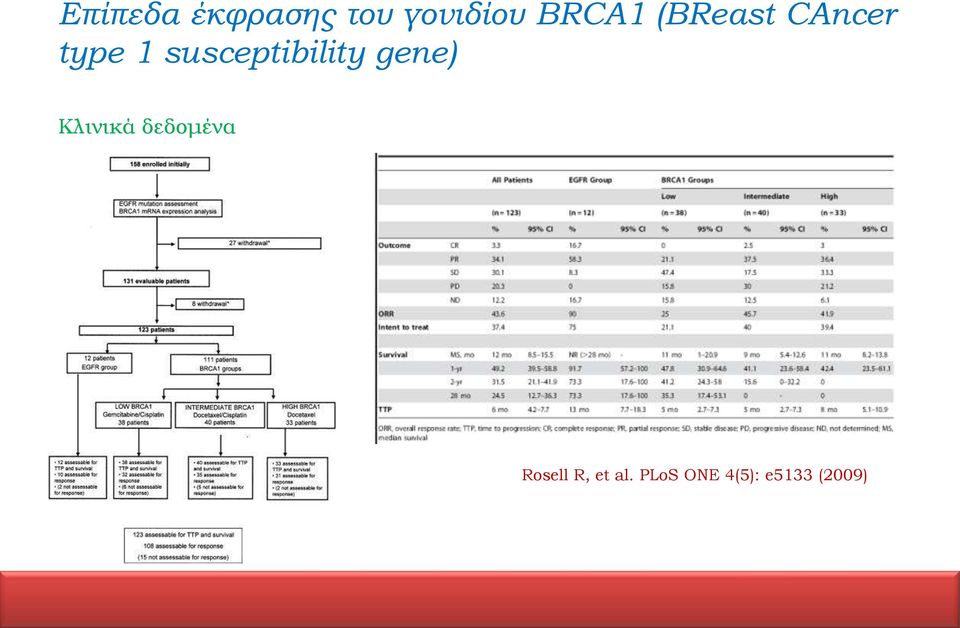 susceptibility gene) Κλινικά