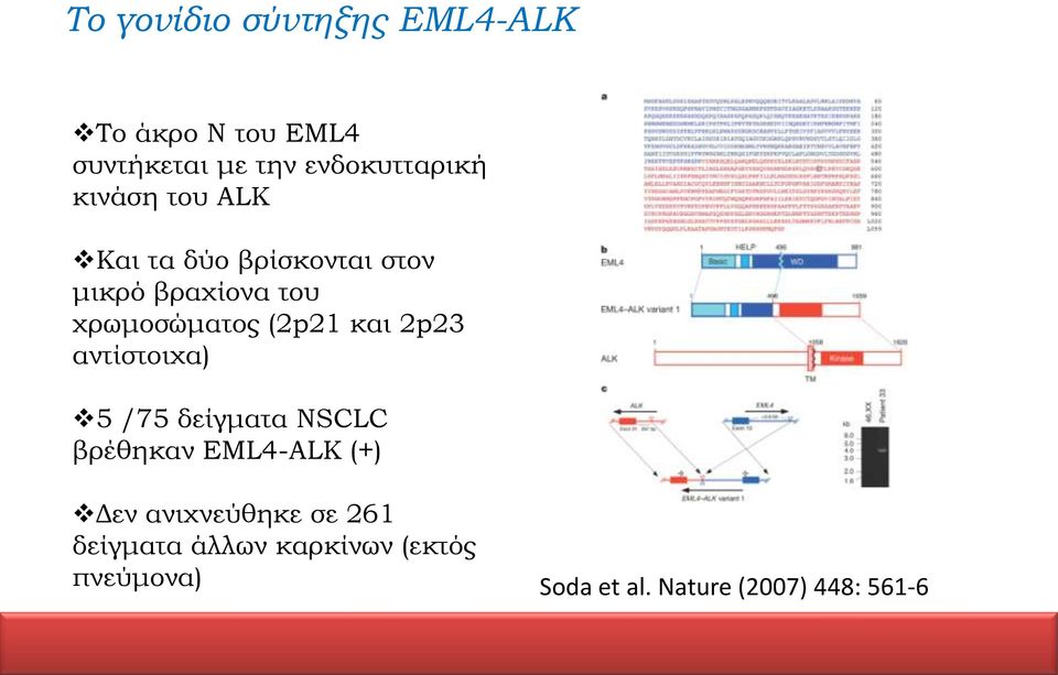 και 2p23 αντίστοιχα) 5 /75 δείγματα NSCLC βρέθηκαν EML4-ALK (+) Δεν ανιχνεύθηκε