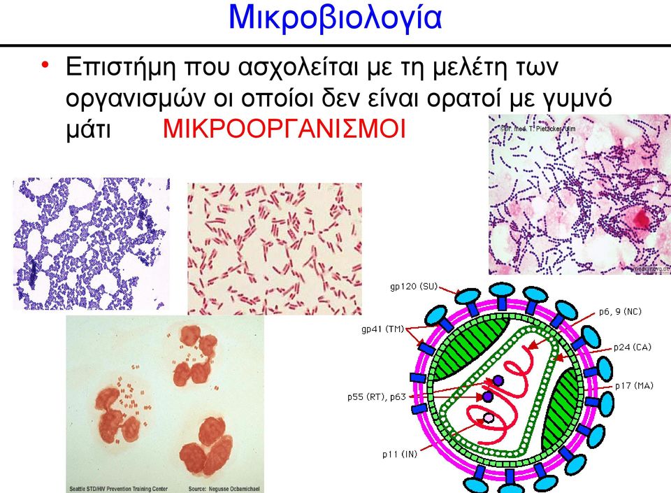 οργανισμών οι οποίοι δεν είναι