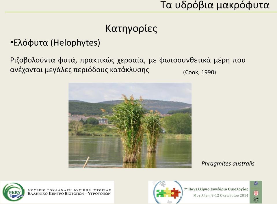 χερσαία, με φωτοσυνθετικά μέρη που ανέχονται