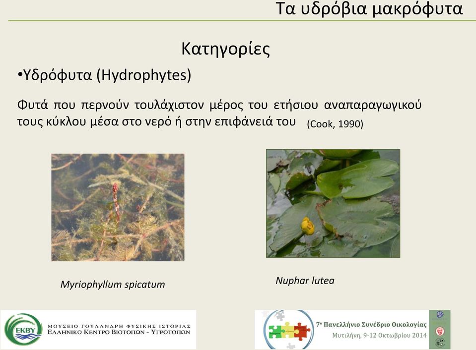 ετήσιου αναπαραγωγικού τους κύκλου μέσα στο νερό ή